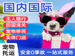 宜宾五粮液航空空运国际宠物托运 【国